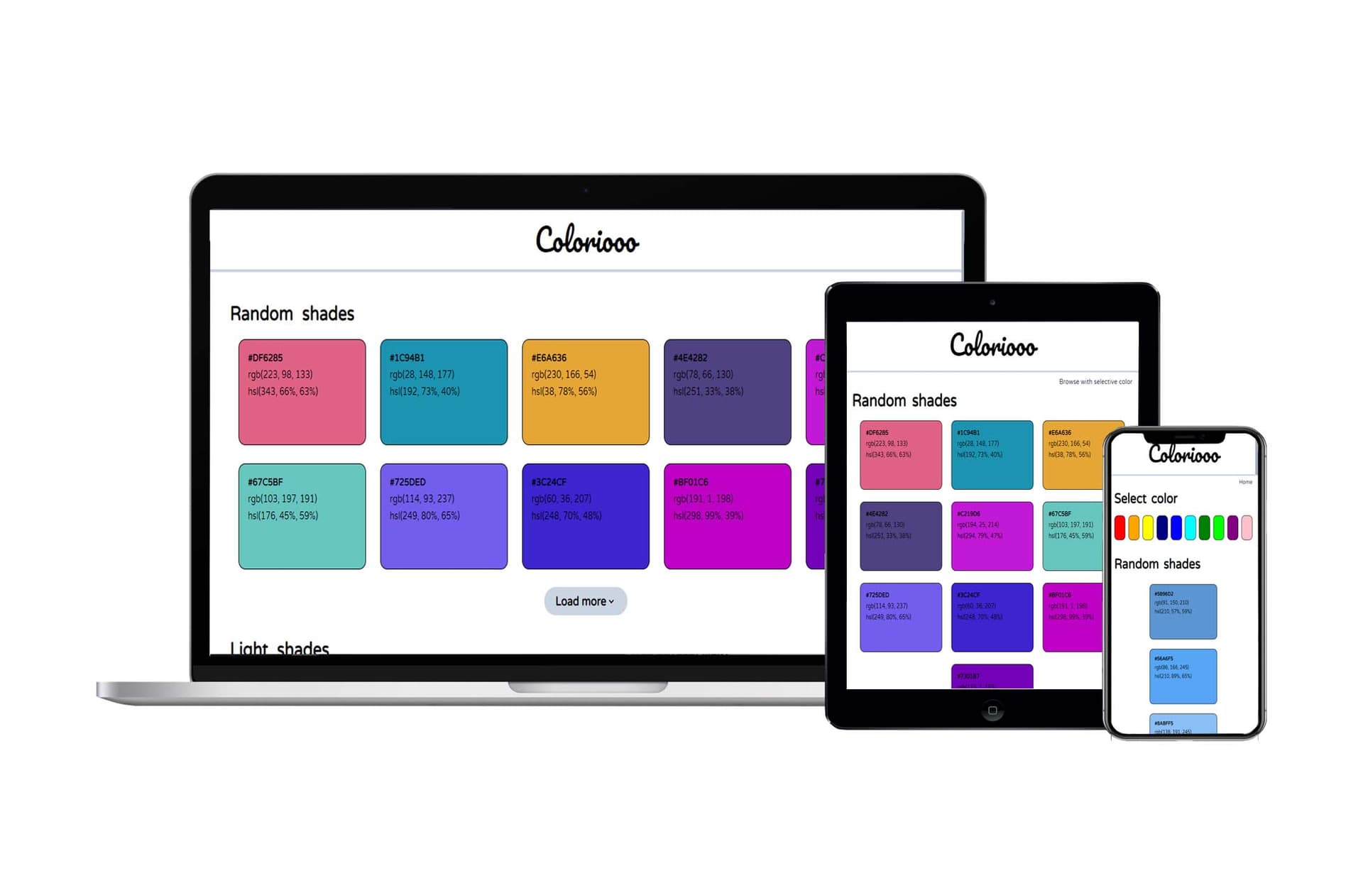 Project screenshot 4